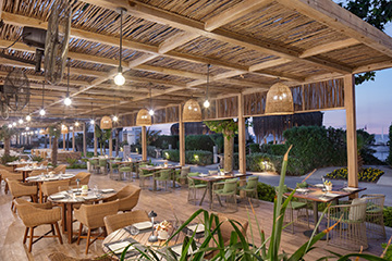 Restoranlar & Barlar 2